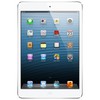 Apple iPad mini 32Gb Wi-Fi + Cellular белый - Камышин