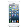 Apple iPhone 5 16Gb white - Камышин