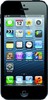 Apple iPhone 5 16GB - Камышин